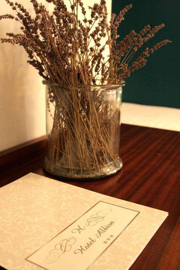 Adonis Ajaccio - Albion Hotel Ajaccio (Corsica)